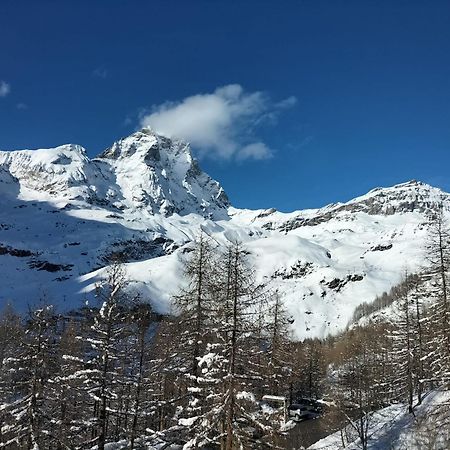Cervinia Apartments Breuil-Cervinia Bagian luar foto
